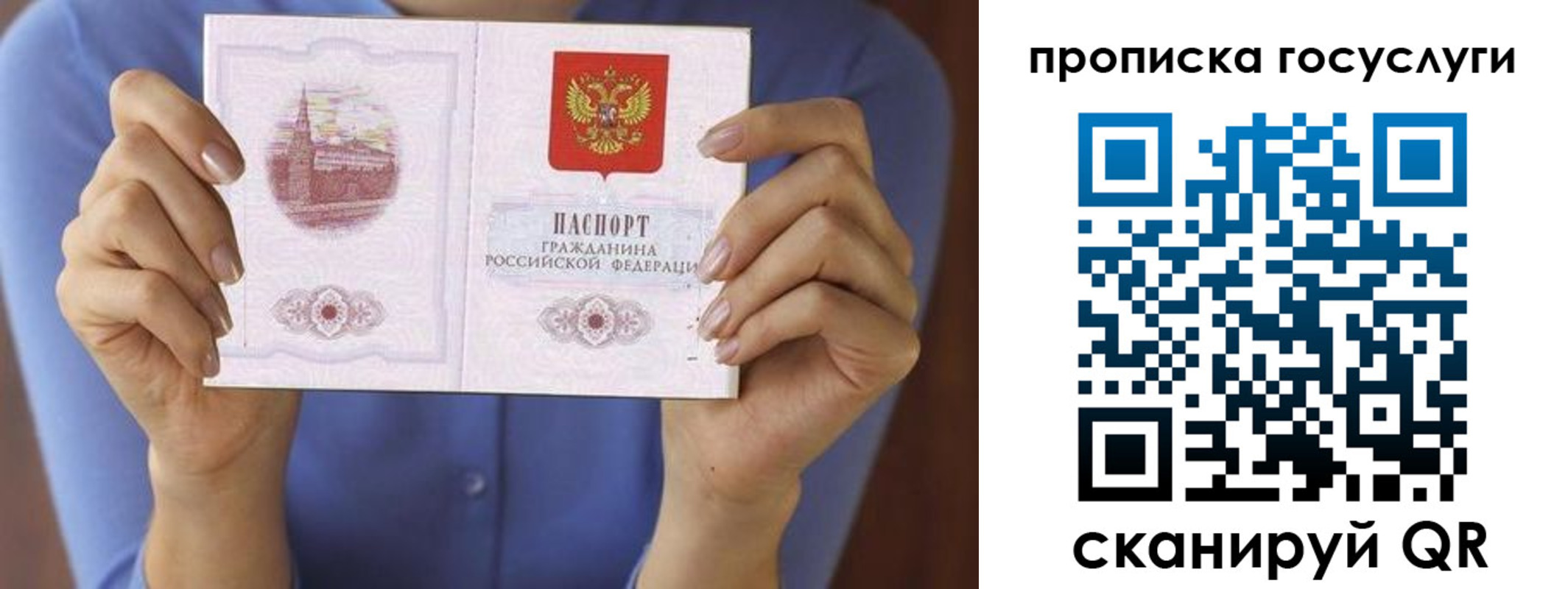 временная регистрация поиск в Суздали